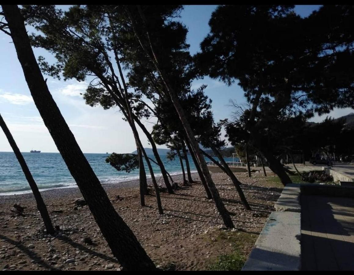 Apartman Javi Διαμέρισμα Bar Εξωτερικό φωτογραφία